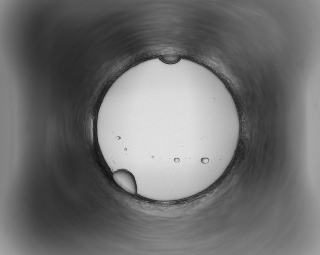 X0000096210014200802151511