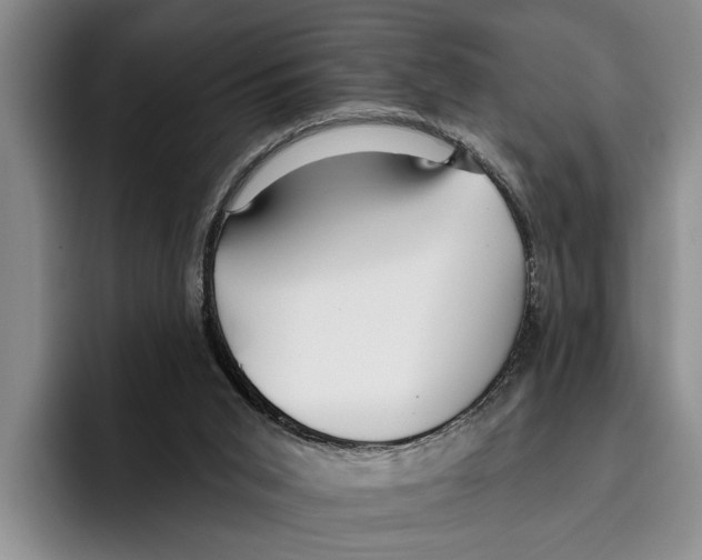 X0000096210015200802151511