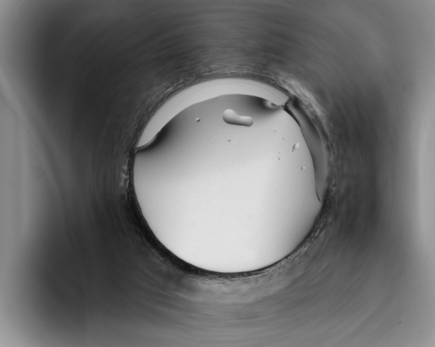 X0000096210017200802151511