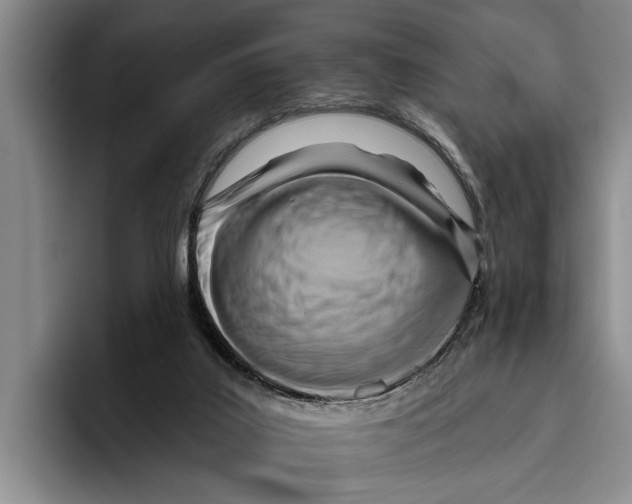 X0000096210019200802151511