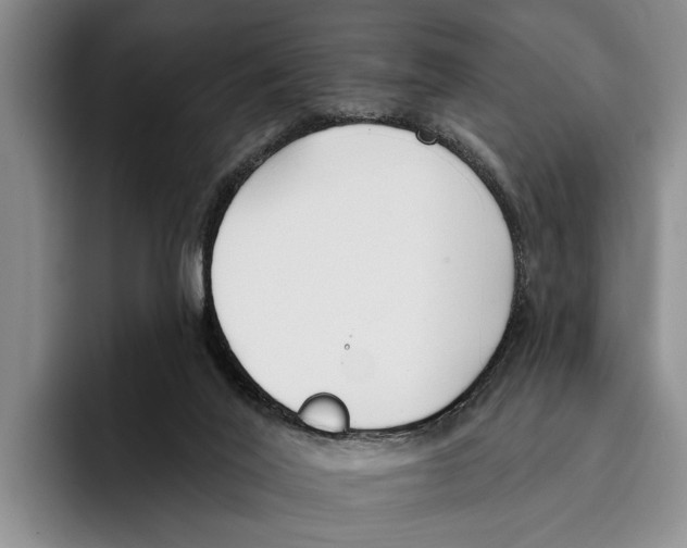 X0000096210020200802151511