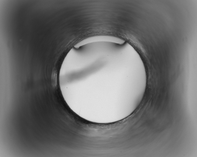 X0000096210021200802151511