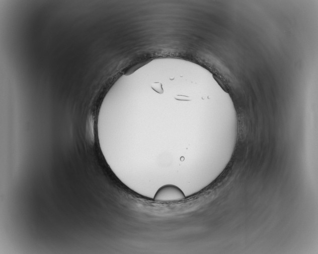 X0000096210022200802151511