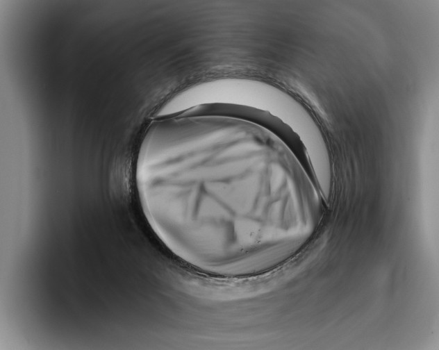 X0000096210023200802151511