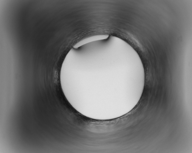 X0000096210025200802151511