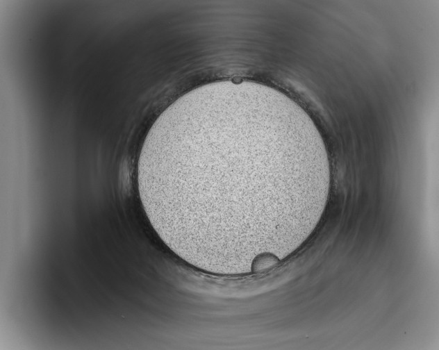X0000096210026200802151511