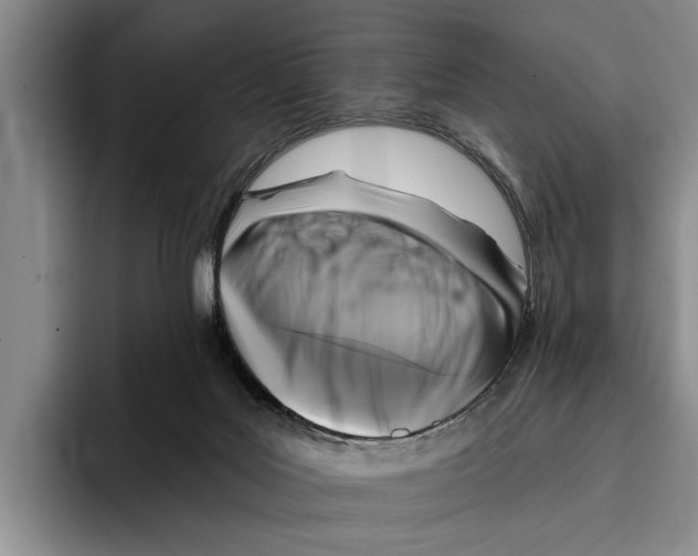 X0000096210027200802151511