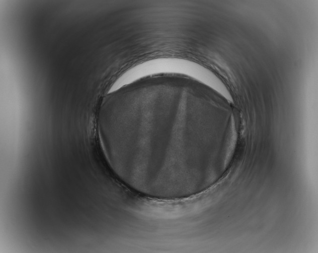 X0000096210029200802151511