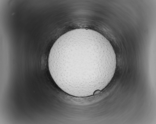 X0000096210030200802151511