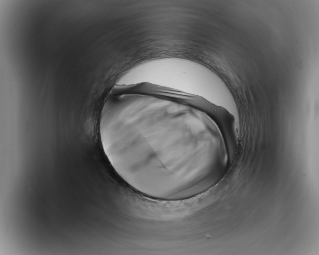 X0000096210031200802151511