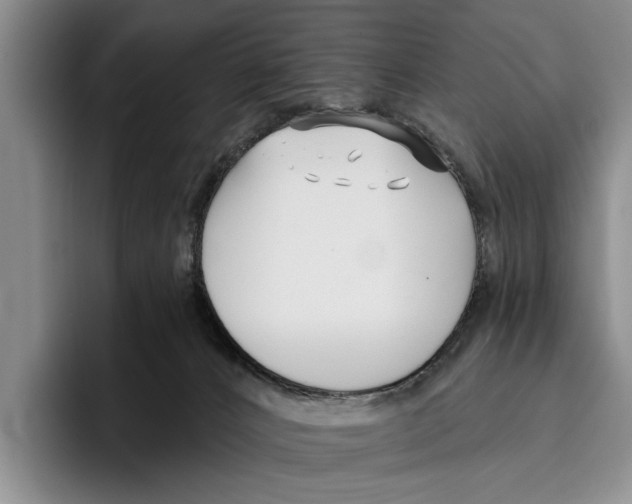 X0000096210032200802151511