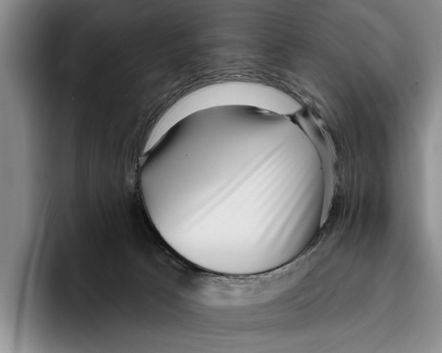 X0000096210033200802151511