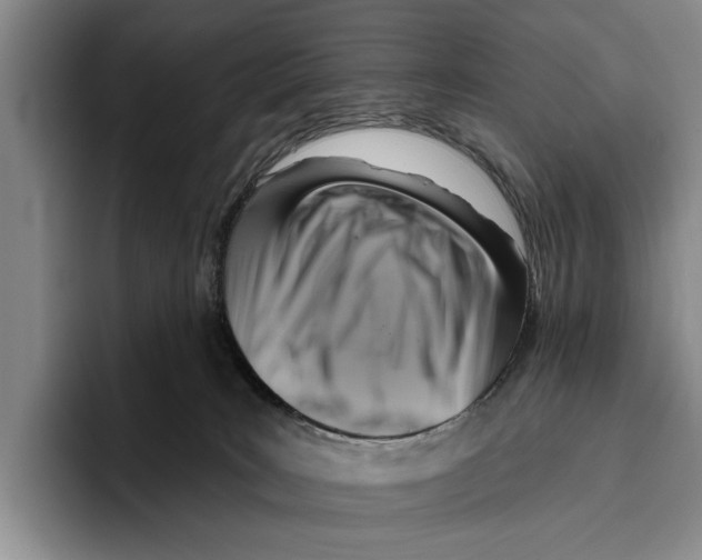 X0000096210035200802151511