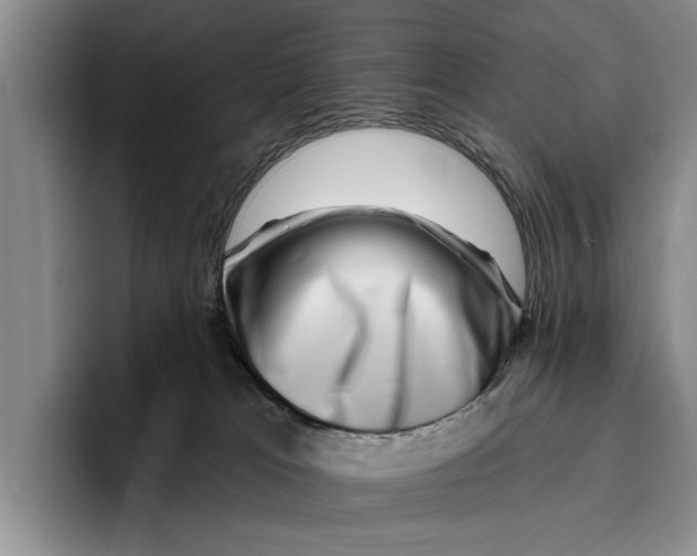 X0000096210037200802151511