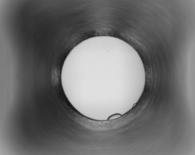 X0000096210038200802151511