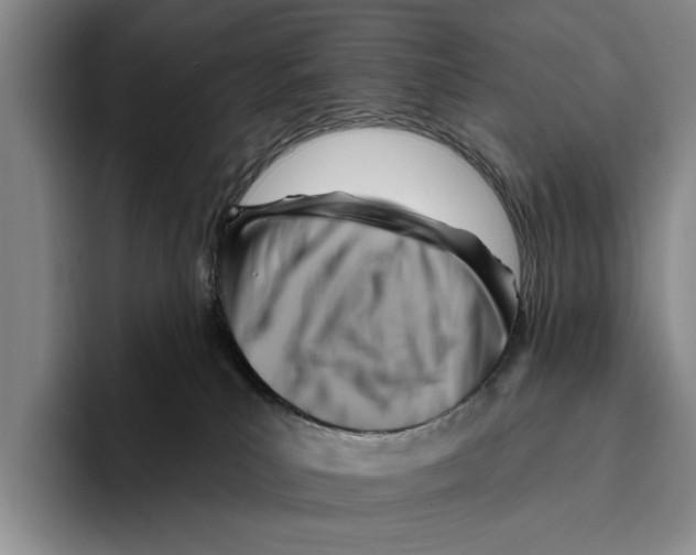 X0000096210039200802151511