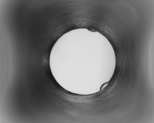 X0000096210040200802151511