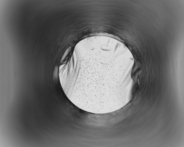 X0000096210041200802151511