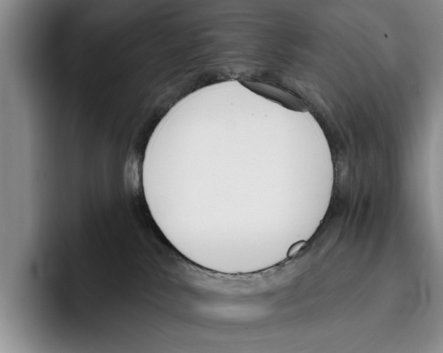 X0000096210042200802151511