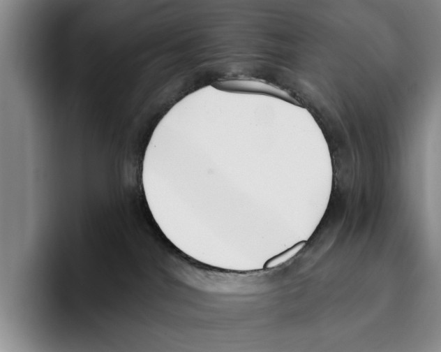 X0000096210044200802151511