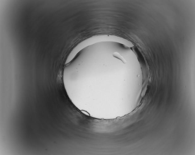 X0000096210045200802151511
