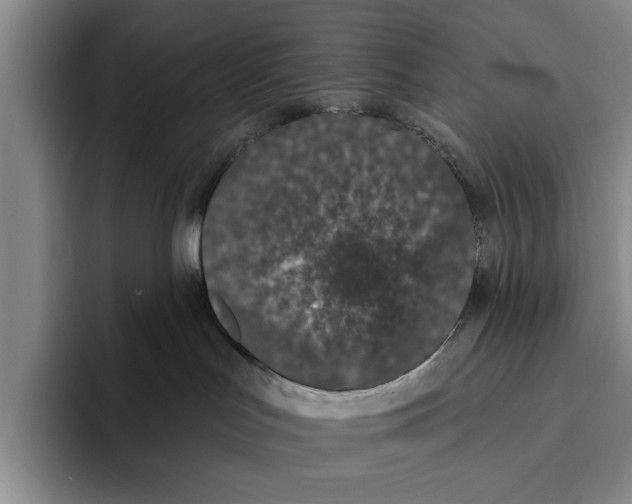 X0000096210047200802151511