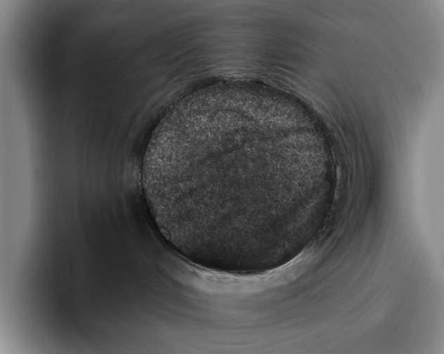 X0000096210048200802151511