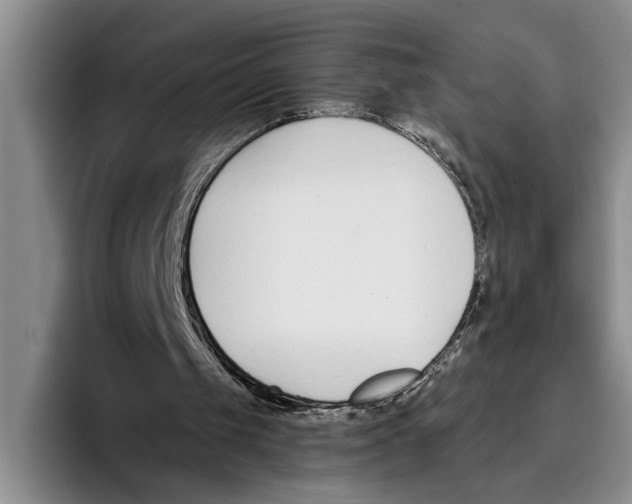 X0000096210049200802151510