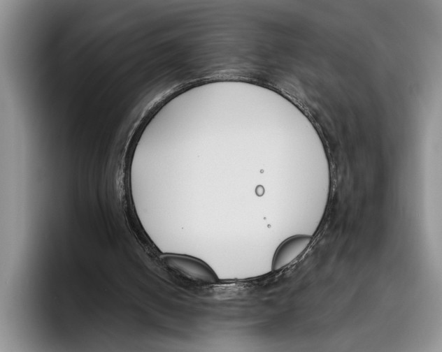 X0000096210050200802151510
