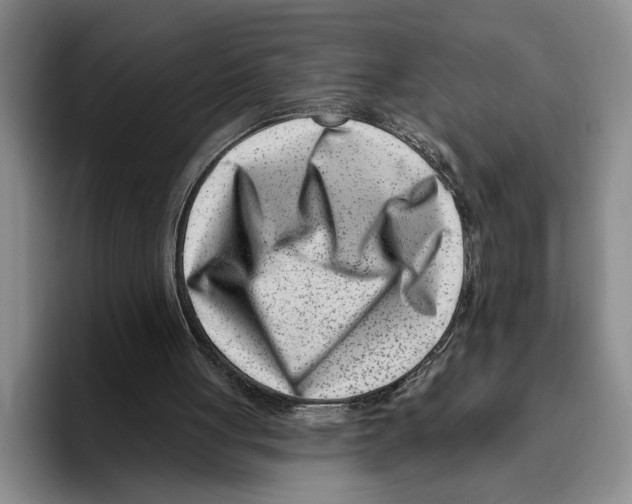 X0000096210051200802151510