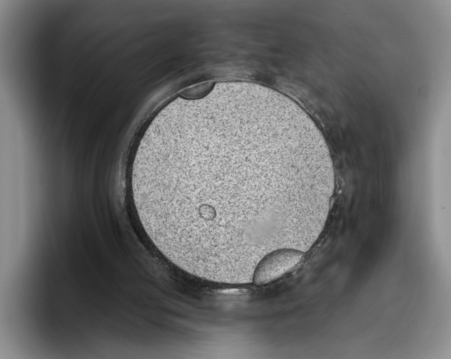 X0000096210053200802151510