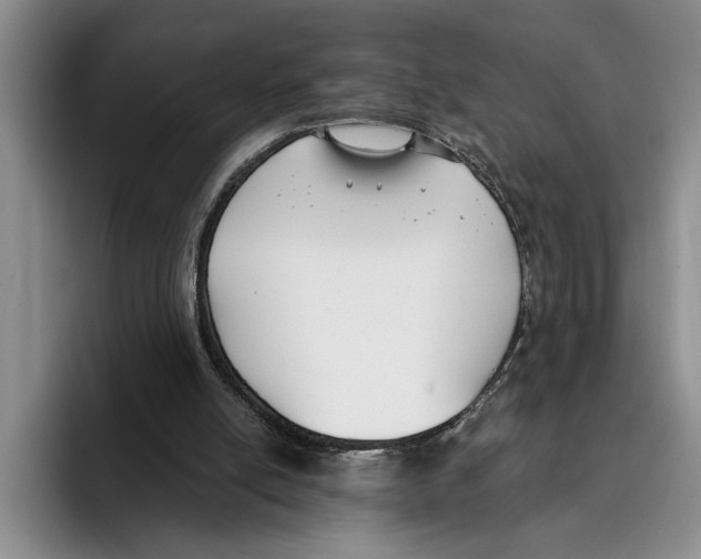 X0000096210054200802151510