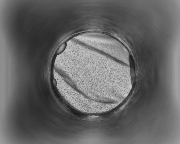 X0000096210055200802151510