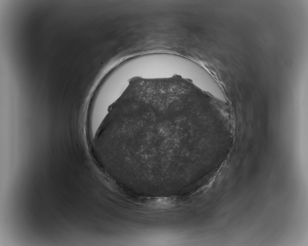 X0000096210056200802151510