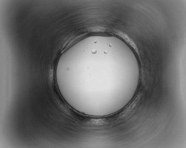 X0000096210057200802151510
