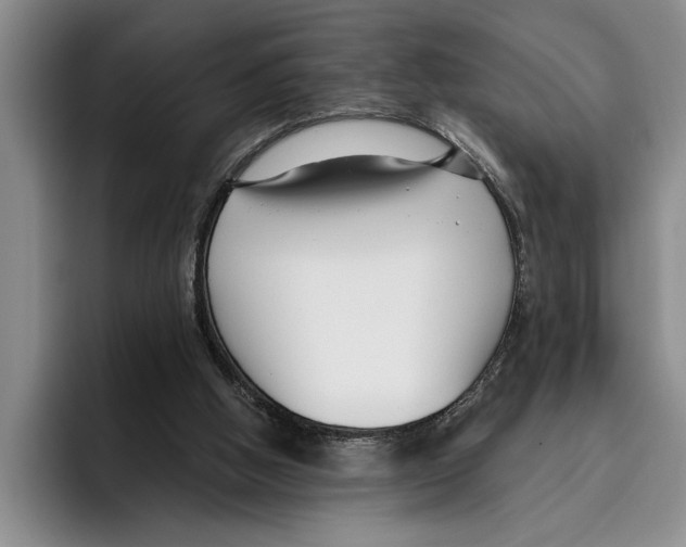 X0000096210058200802151510