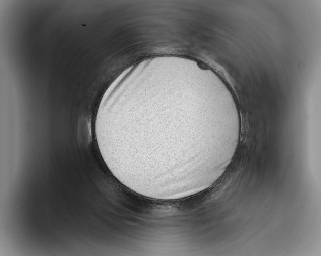 X0000096210061200802151510