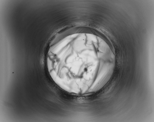 X0000096210064200802151510