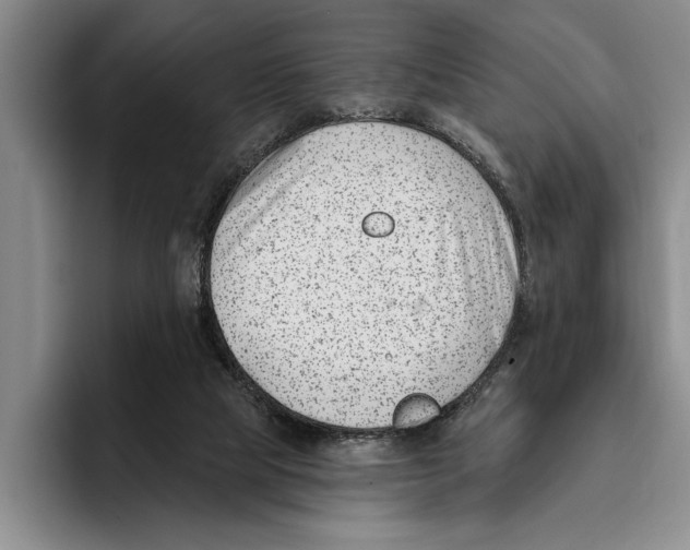 X0000096210065200802151510
