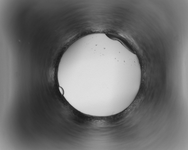 X0000096210066200802151510
