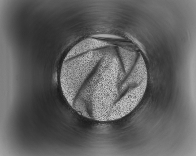 X0000096210067200802151510
