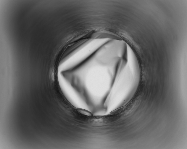 X0000096210068200802151510