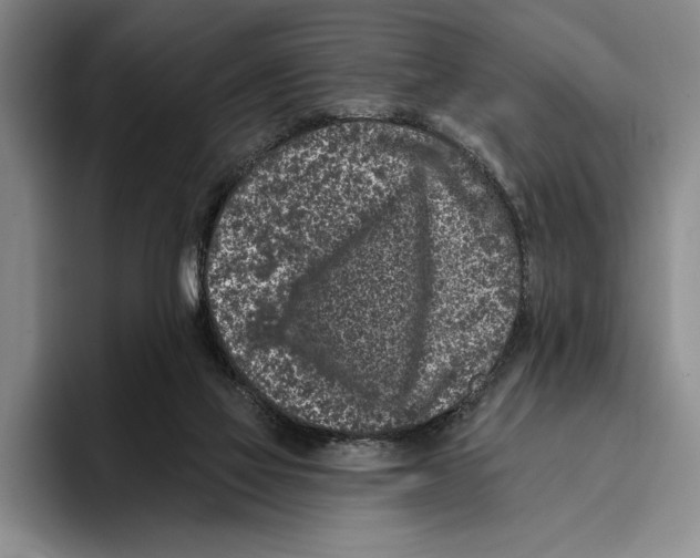 X0000096210069200802151510
