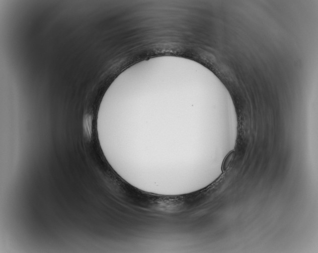 X0000096210070200802151510