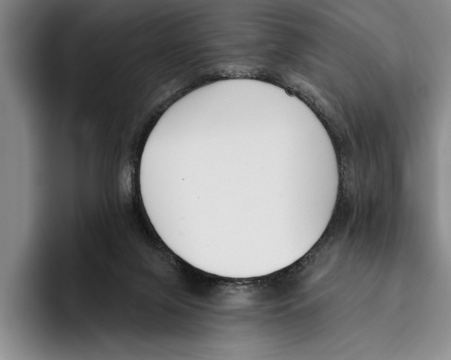 X0000096210071200802151510