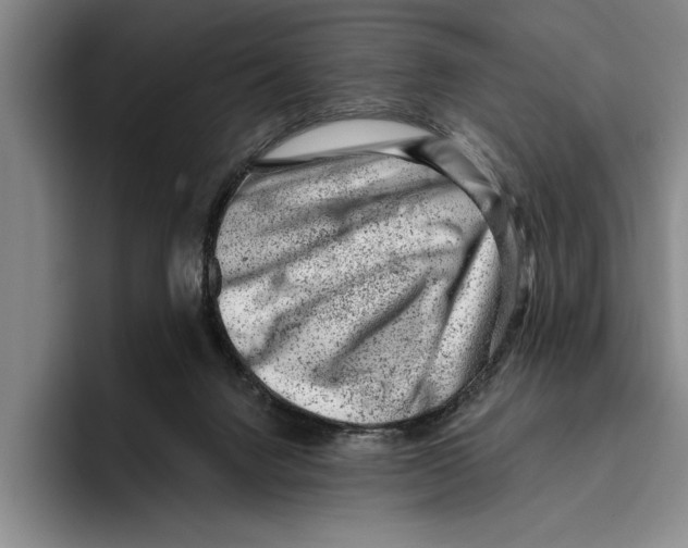X0000096210072200802151510