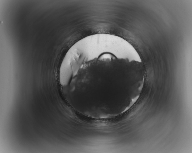 X0000096210073200802151510