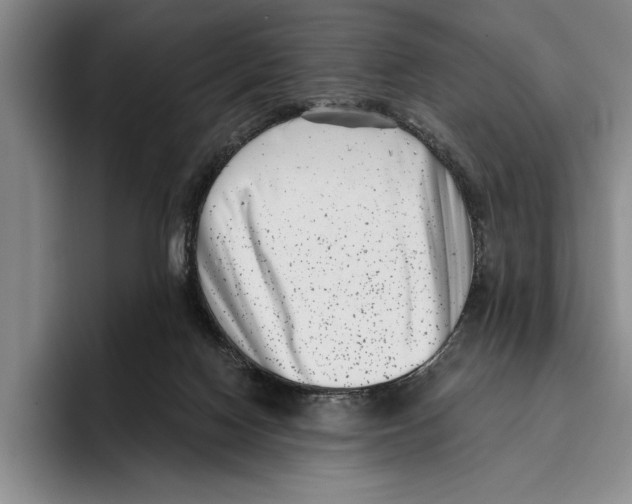X0000096210074200802151510