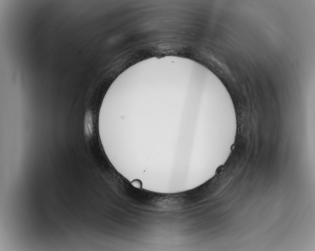 X0000096210075200802151510