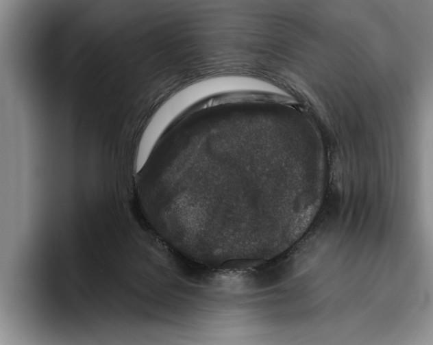 X0000096210076200802151510